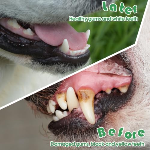 200 Count Dog Toothbrush Double Headed Long Handle Soft (Green)