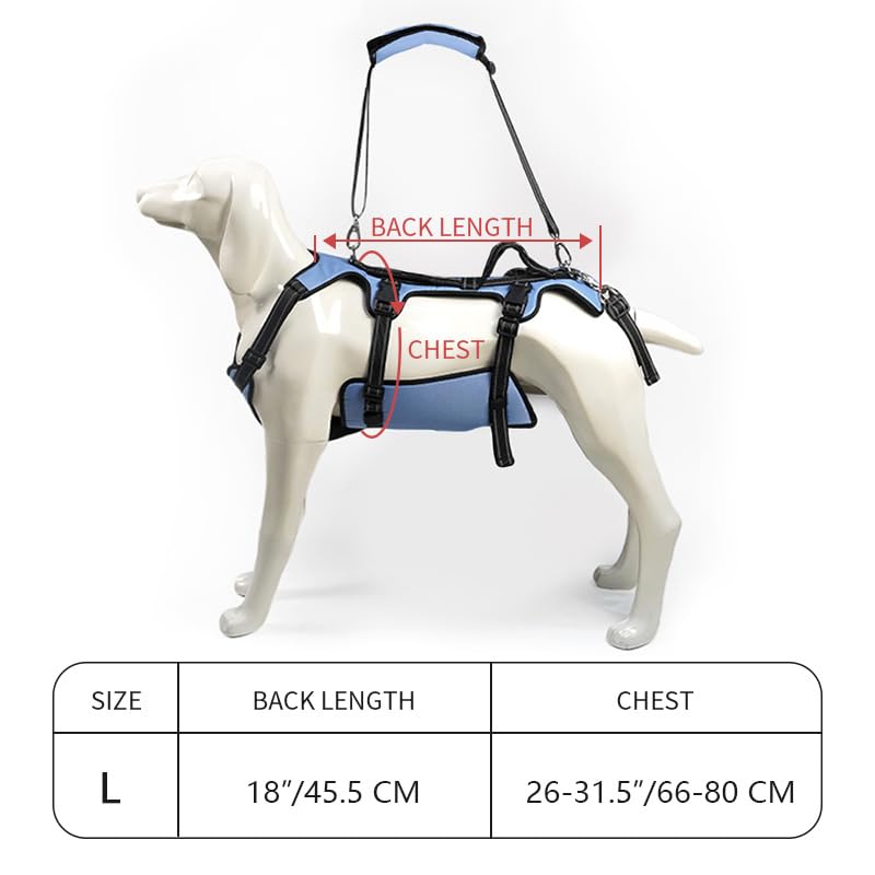 Dog Lift Harness (L / Blue)