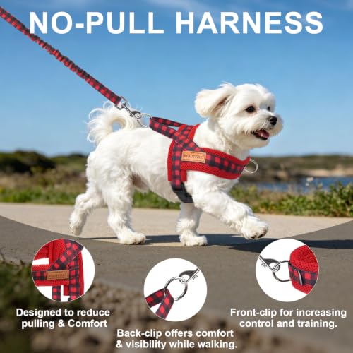 Small Dog Harness and Leash Set (Buffalo Red / S: Chest 17.5"-22")