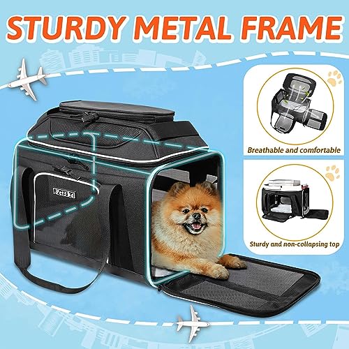 Top Expandable Small Pet Carrier 17"x11"x9.5" Airline Approved (17.0"L x 11.0"W x 9.5"H / Black)