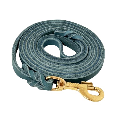 Leather Dog Leash 4ft x 1 (4ft x 1/2 inch / Blue)