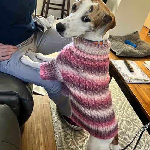 Color Block Dog Sweater for Small Medium Dog Turtleneck Thermal Knit (X-Large (30-42lbs) / 05# Purple)