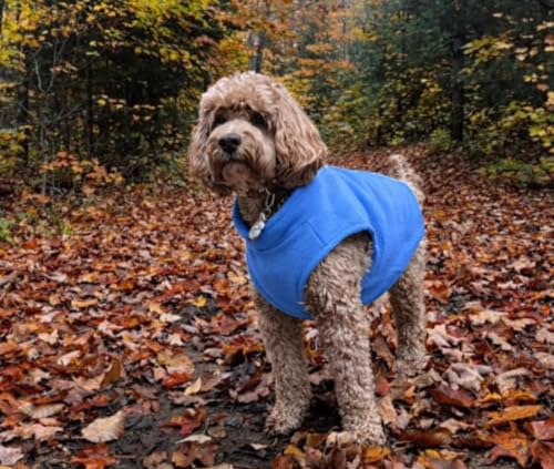 Dog Fleece Vest Sweater with Leash Ring (XXL (25-35lbs) / Blue)