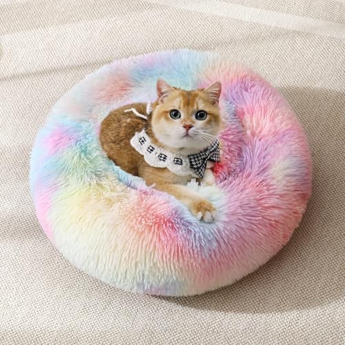 Dog & Cat Bed (23" / Rainbow)