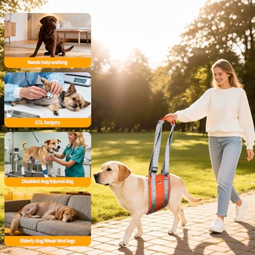 Dog Lift Harness (L / Brown)