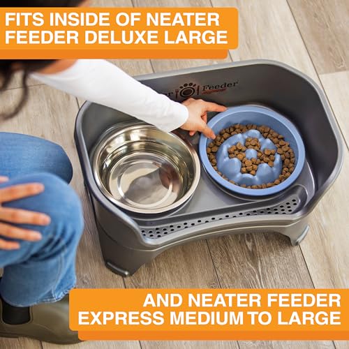 The Niner Slow Feed Bowl (Blue / 2 Cup)