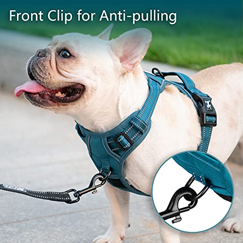 No Pull Dog Harness (S / Tumalo Teal)
