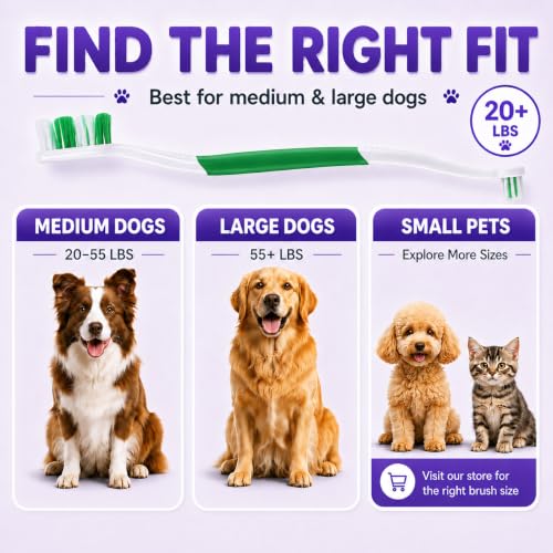 Dog Toothbrush (Green / 1 Count (Pack of 2))