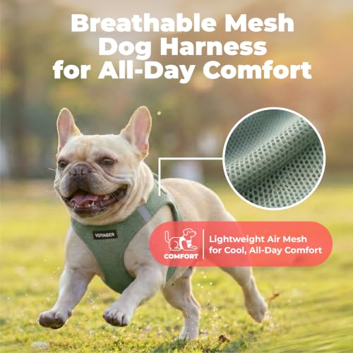 Voyager Step in Air Dog Vest Harness (Moss Green / XS (Chest: 13 - 14.5"))