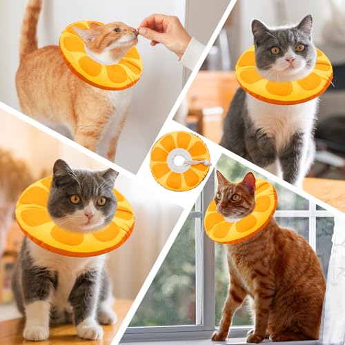 Cat Cone Collar Soft (Orange / Medium)