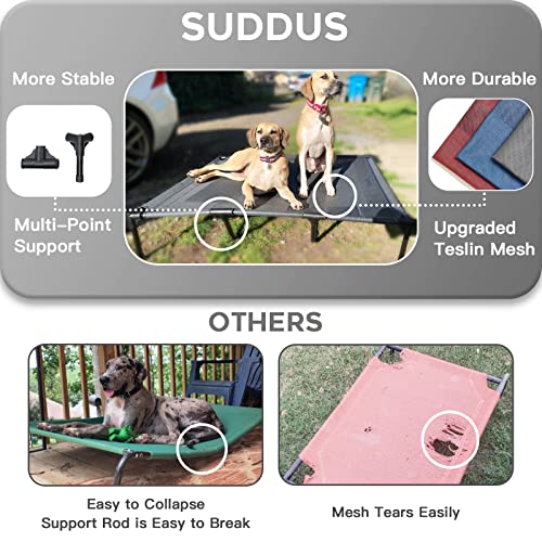 Elevated Dog Bed for Medium Dogs (M (30"Lx 23"Wx6.3"H) / Grey)