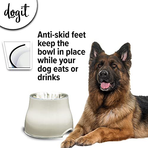 Elevated Dog Bowl for Large Dogs (Large / Off White)