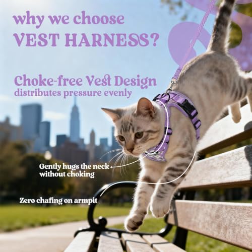 Cat Harness and Leash Set (Xs / Purr-ple Daisy)
