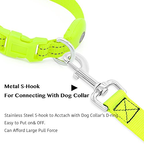 LED Dog Leash (GreenⅠ)