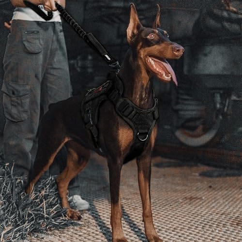 Tactical Bungee Leash with 2 Handles Quick Release (Black / 85cm-118cm/33.5in-46.5in)
