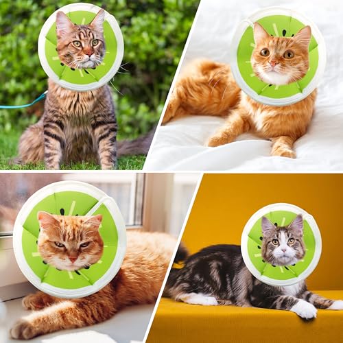 Soft Adjustable Cat Cone Collar (Kiwifruit / Medium)