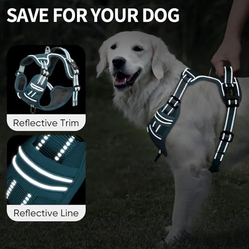 Dog Harness for Small Dogs No Pull Dog Vest Harness for Small Dog with Soft Padded Handle Reflective for Outdoor Training (S / Blackish Green)