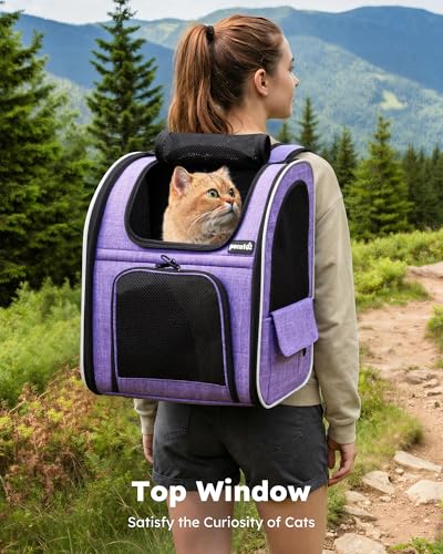 Cat Backpack Expandable (Purple / 12.6"L x 10.2"W x 16.5"H)