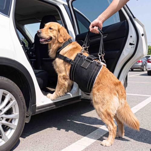 Adjustable All Dog Lift Harness for Large Dogs (Black (Female & Male) / Large)