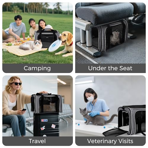 Pet Travel Carrier (Grey / 17.0"L x 11.0"W x 12.0"H)