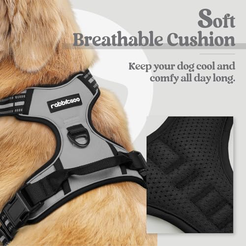 Dog Harness No Pull for Small Dogs with 2 Leash Clips (Small / Gray)