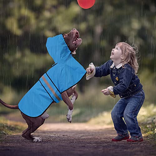 Waterproof Reflective Dog Raincoats (Blue / Small)