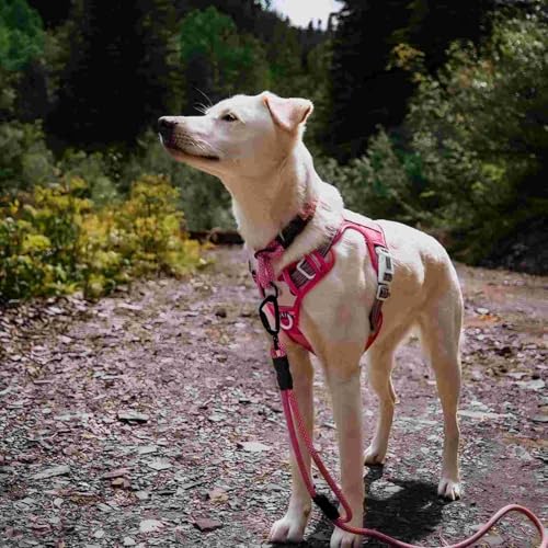 Dog Harness for Large Dogs (Camo - Pink Camo / L(Neck:18-29",Chest:24-37"),45-80 lbs)