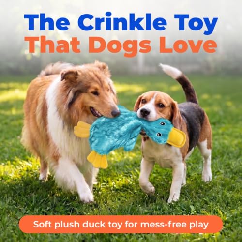 Interactive Squeaky Dog Toy (aCrinkle Duck (Turquoise) / Large)