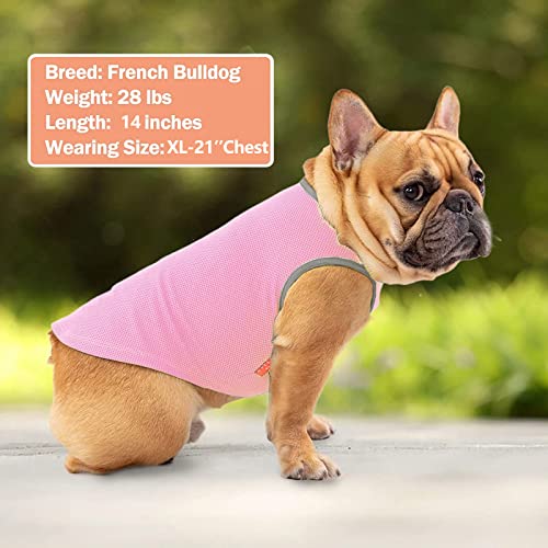 2Pack Dog Shirt for Large Dogs Soft Breathable T (XX-Large (40-55lbs) / 6# Pink+Grey)