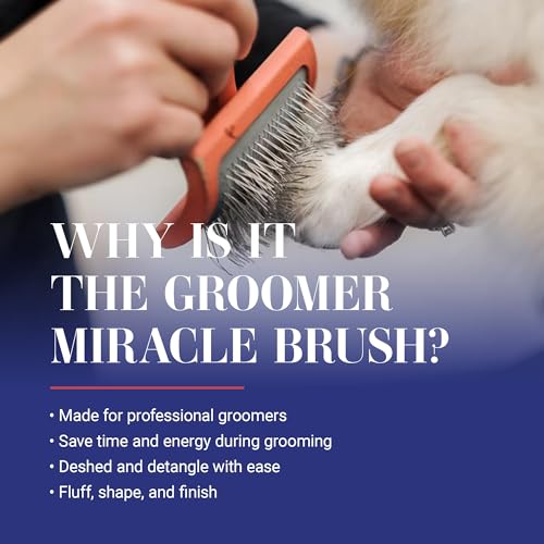 Baby G Dog Slicker Brush for Dogs (Small / Coral)