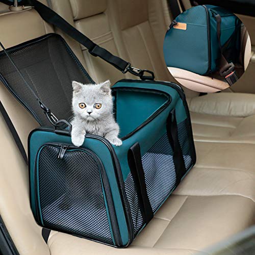 Cat Carrier Portable Foldable Dog Pet Carrier (19.7"L x 12"W x 12"H / Blue)