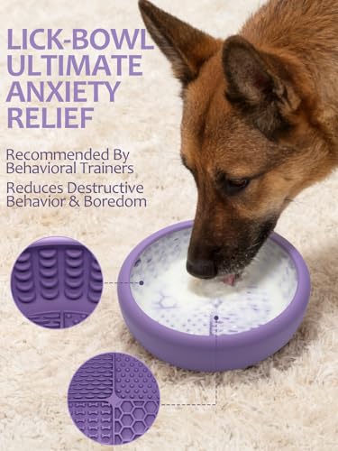 Dog Lick Bowl with Brush and Scraper (Purple / Small)