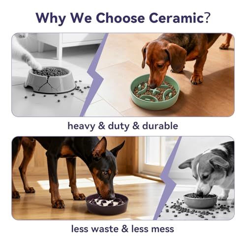 Ceramic Slow Feeder Dog Bowl (Grey / Medium without Stand)