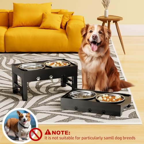 Elevated Dog Bowls with 2 Stainless Steel Bowls (For Medium Large Dogs / Black)