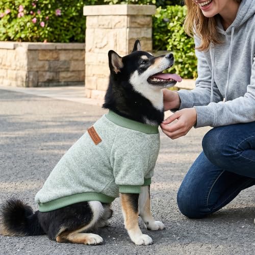 1 Pack Dog Sweater for Small Dogs Girl Boy Winter Fleece Clothes Warm Soft Dog Sweatshirt Outfit for Dogs Cats Pet Apparel (matcha green / L (Back: 15.7", Chest: 19.6", 14-18 lbs))