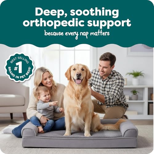 Orthopedic Dog Bed for Large Dogs w (Jumbo / Gray)