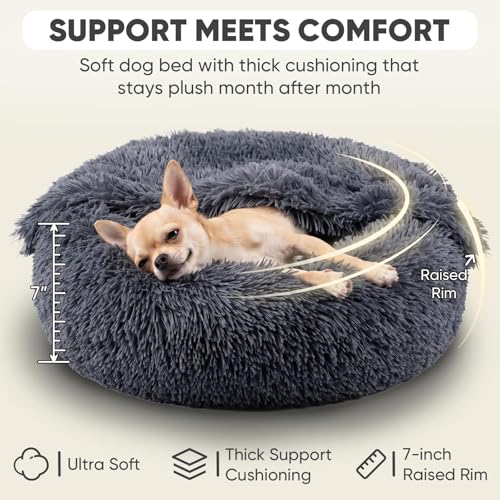 Dog Beds for Small Dogs (20.0"L x 20.0"W x 7.0"Th / Grey)