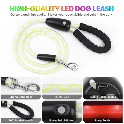 6Ft Light Up Dog Leash (6Ft)