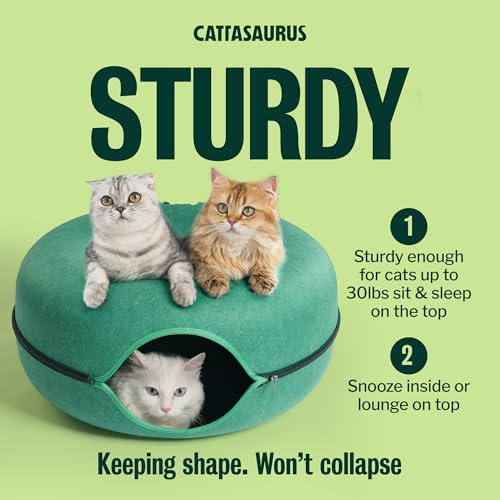 Peekaboo Cat Cave Donut for Multiple & Large Cats up to 30 (Forest Green / Large)