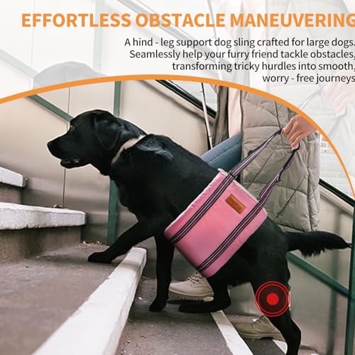 Dog Lift Harness for Large Dogs (Medium (Pack of 1) / Pink)