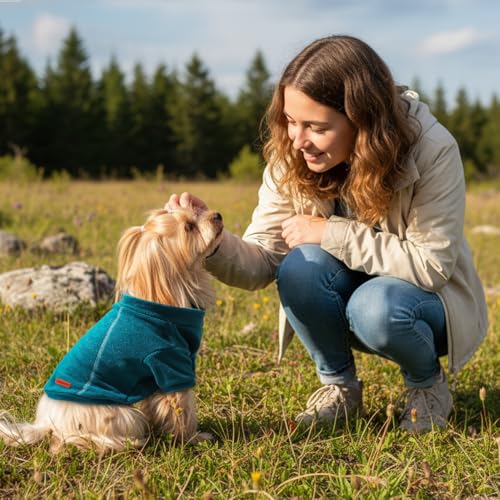 4 Pack Fleece Dog Sweater Clothes for Small Dogs Girls Boys Pullover Turtleneck Dog Sweatshirt Coat Winter Soft and Warm Pet Puppy Sweater Clothes for Cold Weather Spring Autumn Christmas (Blue+Grey+Navy+Dark Teal / XL)