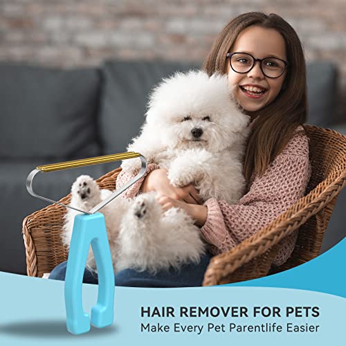 Carpet Rake Lint Remover (Sky Blue)