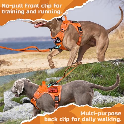 Tactical Dog Harness for Large (Orange / Large)