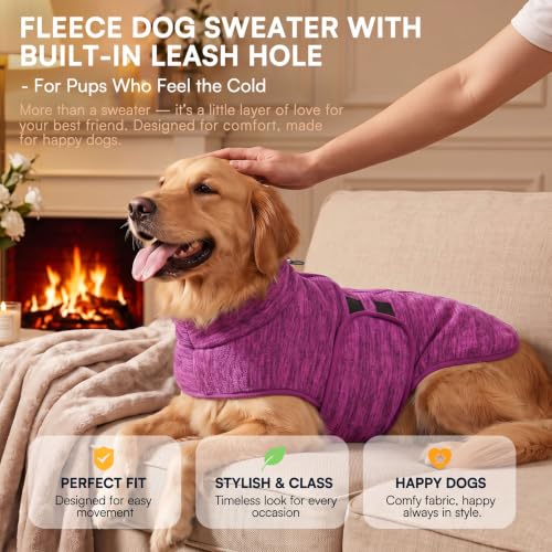 Small Dog Sweater (Cationic Berry / X-Small)