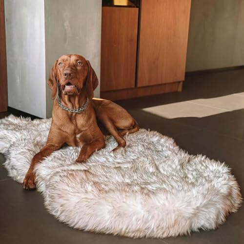 Faux Fur Orthopedic Dog Bed (White w/ Brown Tips / Giant)
