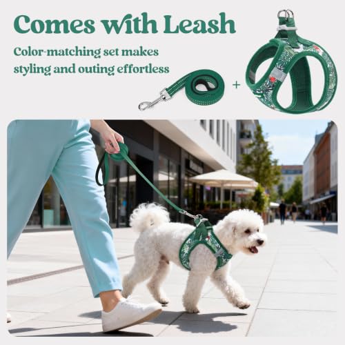 Dog Harness Medium Sized and Leash Set (Rainforest Green / M (chest: 16 - 18.5"))