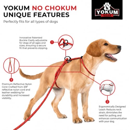 12ft No Choke Leash Long Rope Dog Leash (12 Ft / RED)