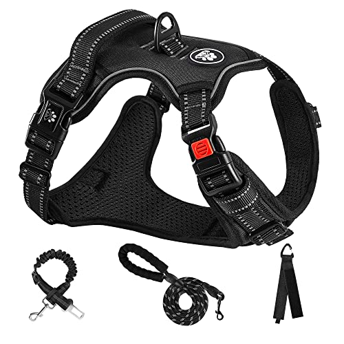 Dog Harness for Small Sized Dog (Black / X-Small)