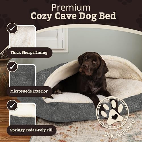 Rectangle Cozy Cave Dog Bed (Merlin Pewter / Medium)