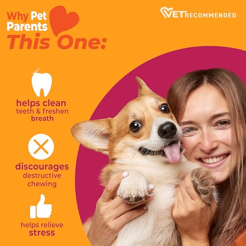 Strong Chew Wishbone Dog Toy (Wishbone / Small)